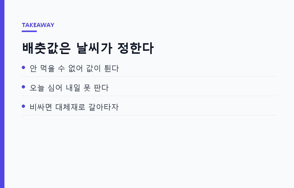 지금 마트 배춧값이 심상찮은 이유